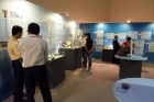 SDC14478.JPG